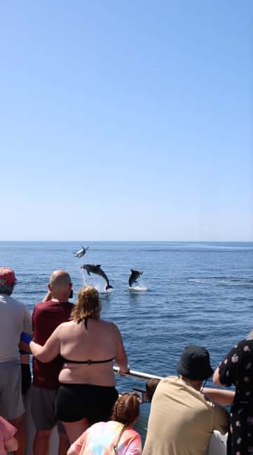 Vilamoura: Boat Tour Dolphin Quest & Marine Life Search - Searching the Algarve coast for dolphins