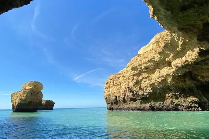 Vilamoura Tour to Benagil and the Dolphins - Dolphins, timing, and the limits of the experience