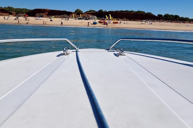 Vilamoura Tour to Benagil and the Dolphins - Who should book this Benagil boat trip?