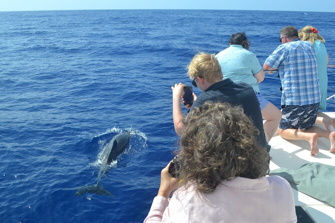 VipDolphins Luxury Whale Watching - Snacks, drinks, and the VIP touch