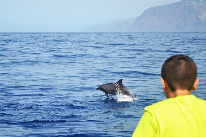 VipDolphins Luxury Whale Watching - Swimming and snorkeling beneath Cabo Girao