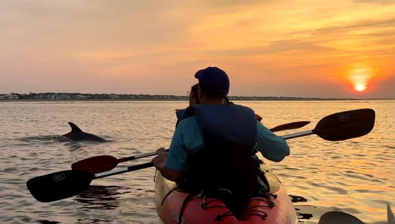 Virginia Beach: Dolphin Kayak Tour: This is a Workout! - Why this dolphin tour feels like a workout