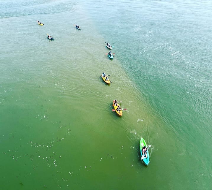 Virginia Beach: Dolphin Kayak Tour: This is a Workout! - What the guide adds to two hours on the bay