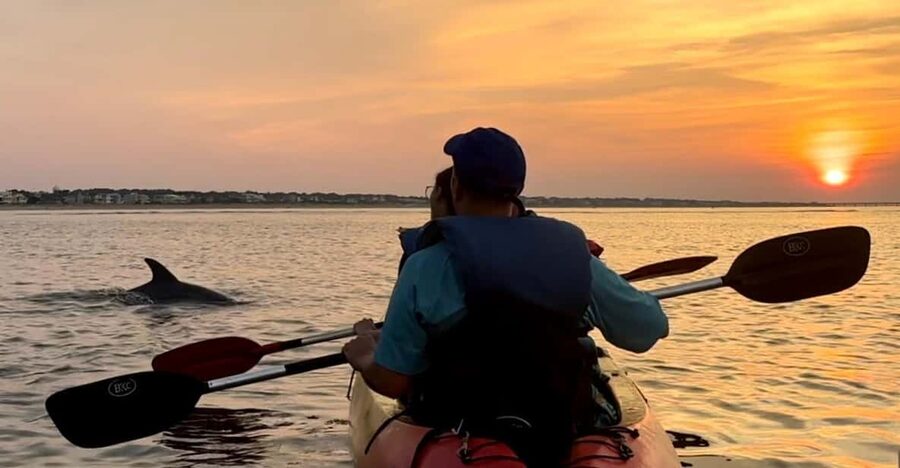 Virginia Beach: Dolphin Kayak Tour: This is a Workout! - Who should book this Virginia Beach outing?