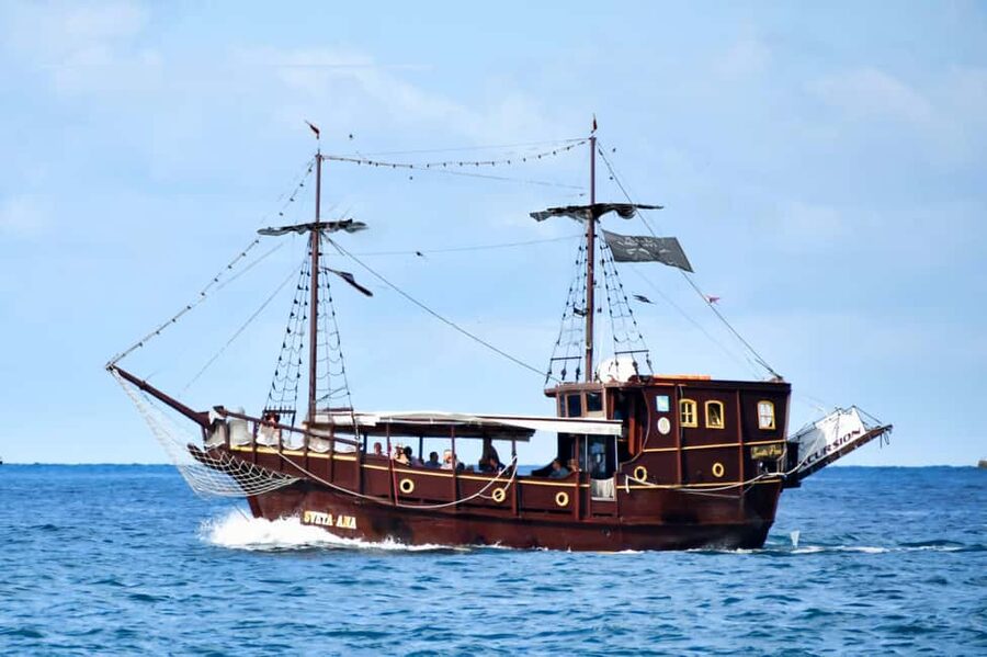 Vrsar: Dolphin Watching Boat Ride - Key points at a glance