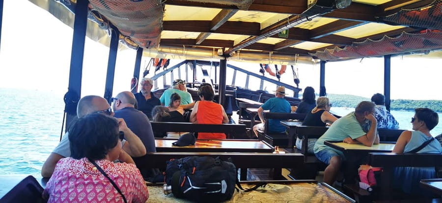 Vrsar: Dolphin Watching Boat Ride - The main strengths and limitations