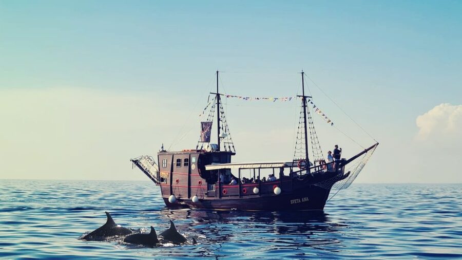 Vrsar: Dolphin Watching Boat Ride - Vrsar from the Adriatic