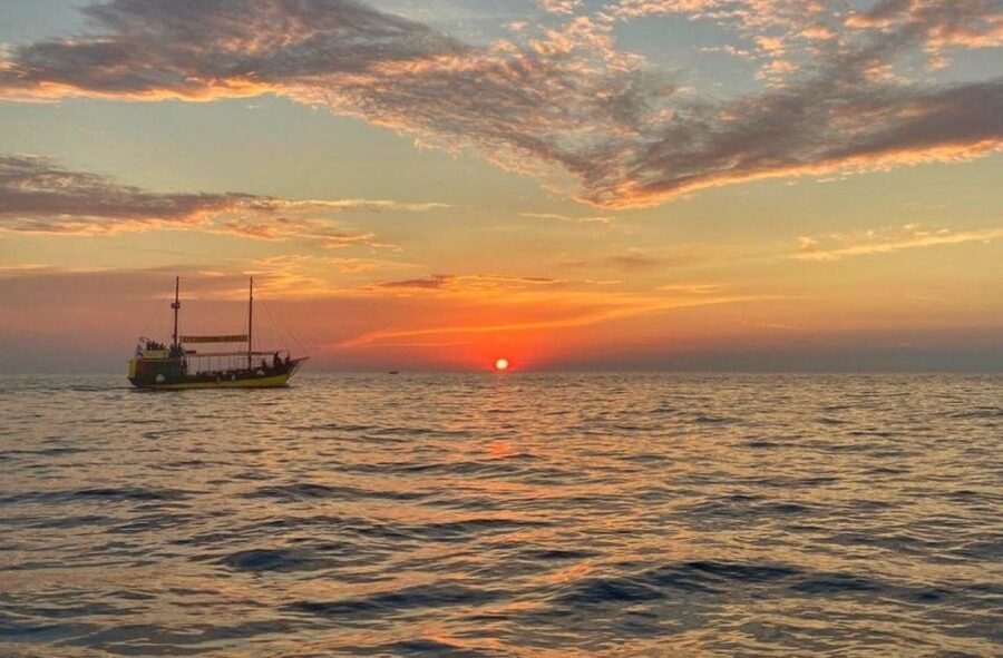 Vrsar: Dolphin Watching Boat Tour including Drinks - Key points at a glance