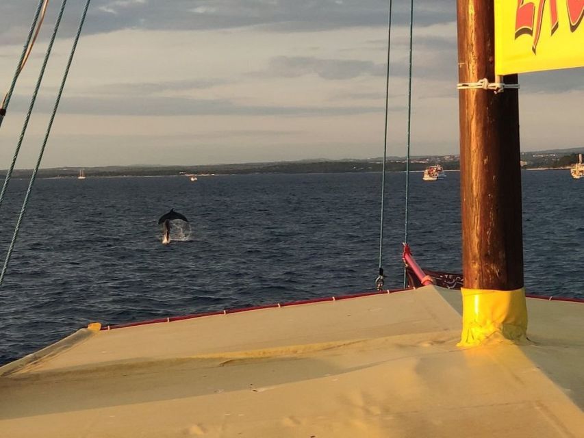 Vrsar: Dolphin Watching Boat Tour including Drinks - Who will enjoy this boat trip most