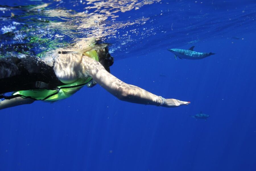 Waianae, Oahu: Swim with Dolphins (Semi-Private Boat Tour) - Leaving shore aboard the Robalo R272