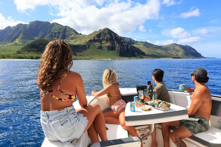 Waianae, Oahu: Swim with Dolphins (Semi-Private Boat Tour) - Comparing the $200 price with the experience