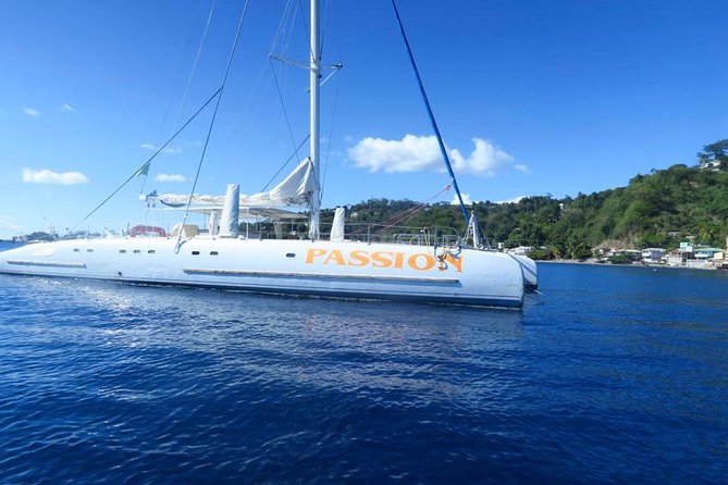 Waitukubuli Dolphin and Whale Watch in Dominica - What the $99 price covers