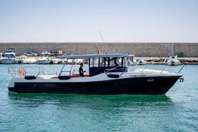 Walk and dolphin watching in Fuengirola + 1 drink - The search for dolphins in their natural habitat