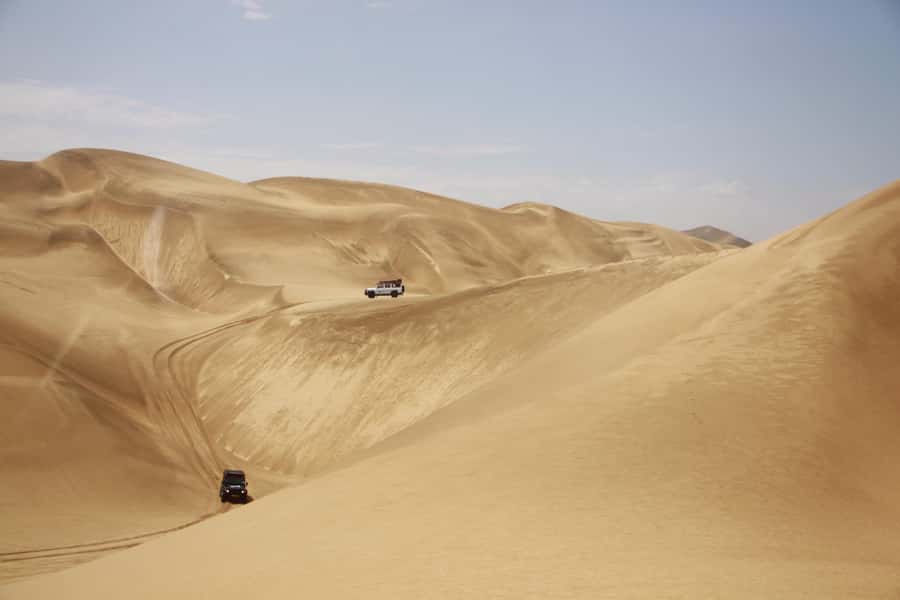 Walvis Bay: Dolphin Cruise, Pink Lakes and 4x4 Dune Drive - Oysters, sparkling wine, and the boat brunch