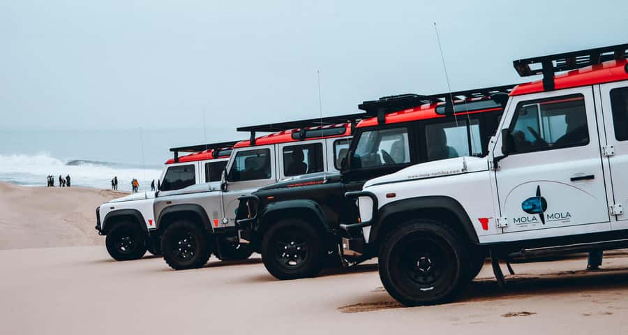 Walvis Bay: Dolphin Cruise, Pink Lakes and 4x4 Dune Drive - The quick change at the Waterfront