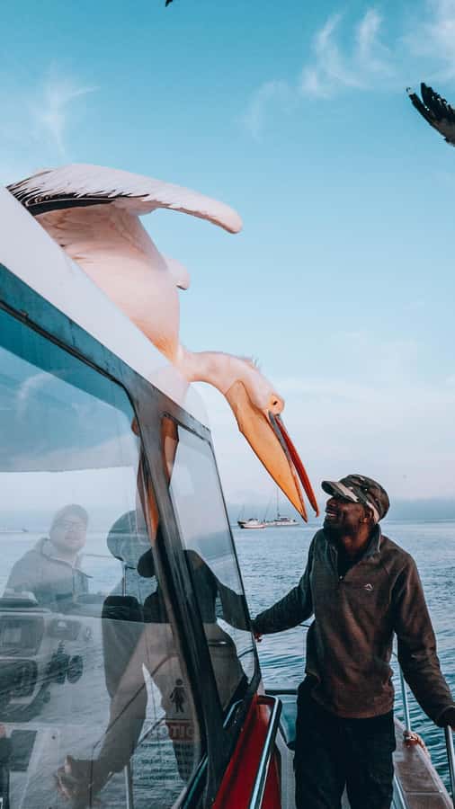 Walvis Bay: Dolphin Cruise, Pink Lakes and 4x4 Dune Drive - The pink salt pans of Walvis Bay