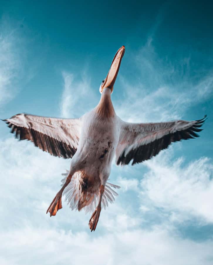 Walvis Bay: Dolphin Cruise, Pink Lakes and 4x4 Dune Drive - The 4x4 ride into Sandwich Harbour