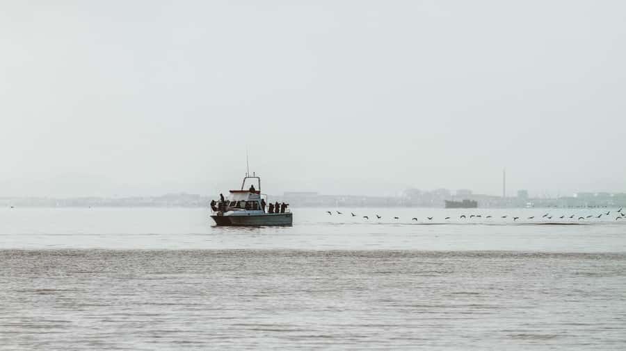 Walvis Bay: Namibian Coast Dolphin Cruise with Light Lunch - Setting out from Walvis Bay Waterfront