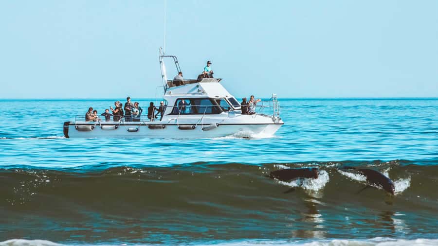 Walvis Bay: Namibian Coast Dolphin Cruise with Light Lunch - Weather, comfort, and realistic expectations