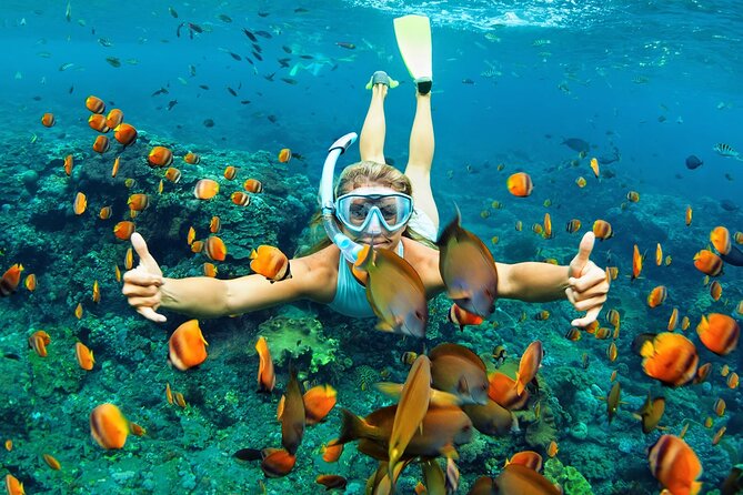Wasini Dolphin Snorkeling - Checking in at Shimoni