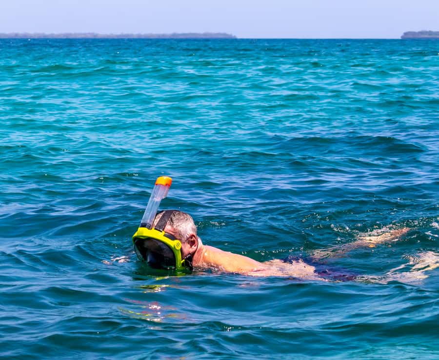 Wasini Island: Dolphin Spotting & Snorkel at Kisite Mpunguti - Who will enjoy this trip most?