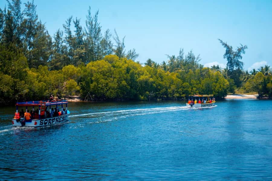Watamu: Marine Park Snorkeling and Dolphin Spotting Tour - A full day on Watamu’s water