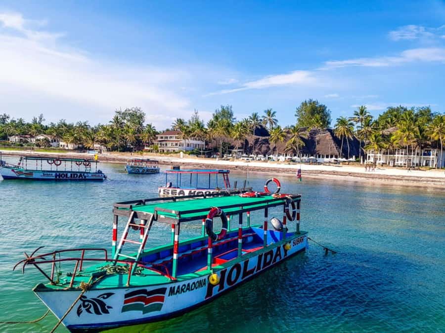 Watamu: Marine Park Snorkeling and Dolphin Spotting Tour - Dolphin spotting from the boat
