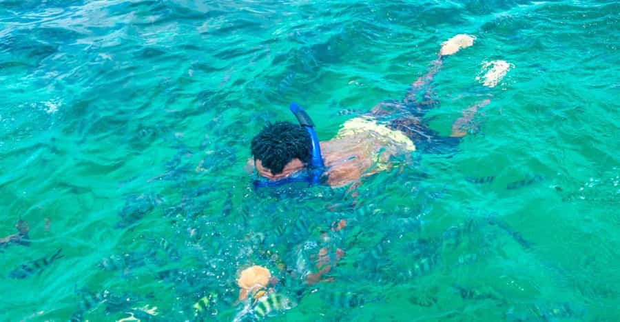 Watamu: Marine Park Snorkeling and Dolphin Spotting Tour - Seafood lunch with an island view