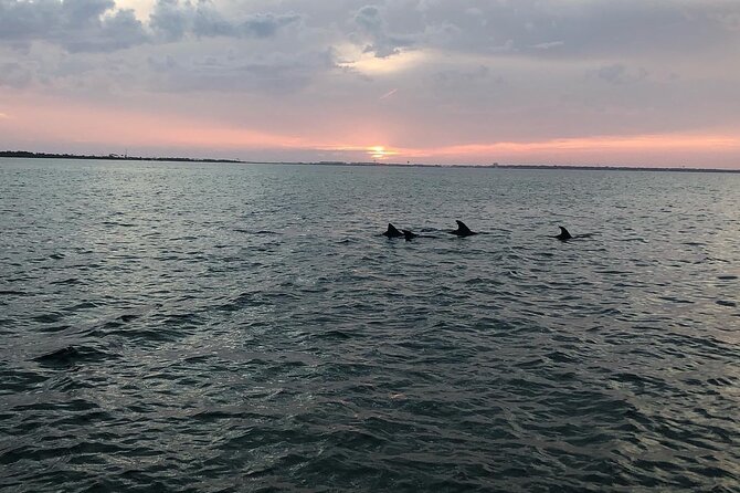 Waverunner Dolphin Tour - The final 30 minutes are for riding