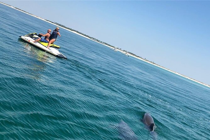 Waverunner Dolphin Tour - Price and what you receive for $189