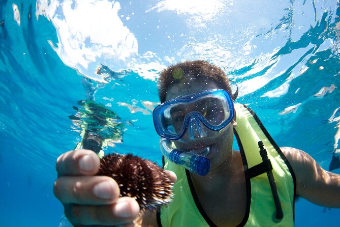 West Oahu Dolphin Watch and Snorkel Sail with Lunch - Snorkeling With Turtles, Fish, and a Crew Guide