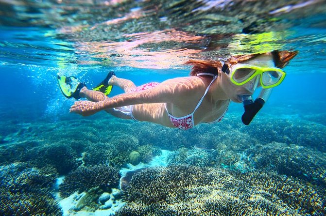 West Oahu Dolphin Watch and Snorkel Sail with Lunch - Is $125.95 a Fair Price?