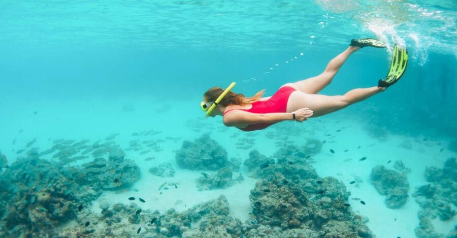 West Oahu: Turtles, Dolphins, and Snorkeling Tour with Lunch - At a glance: what makes this boat trip worthwhile