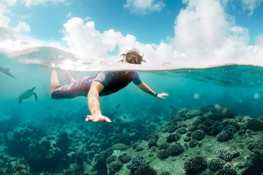West Oahu: Turtles, Dolphins, and Snorkeling Tour with Lunch - Lunch, cocktails, and a comfortable ride back