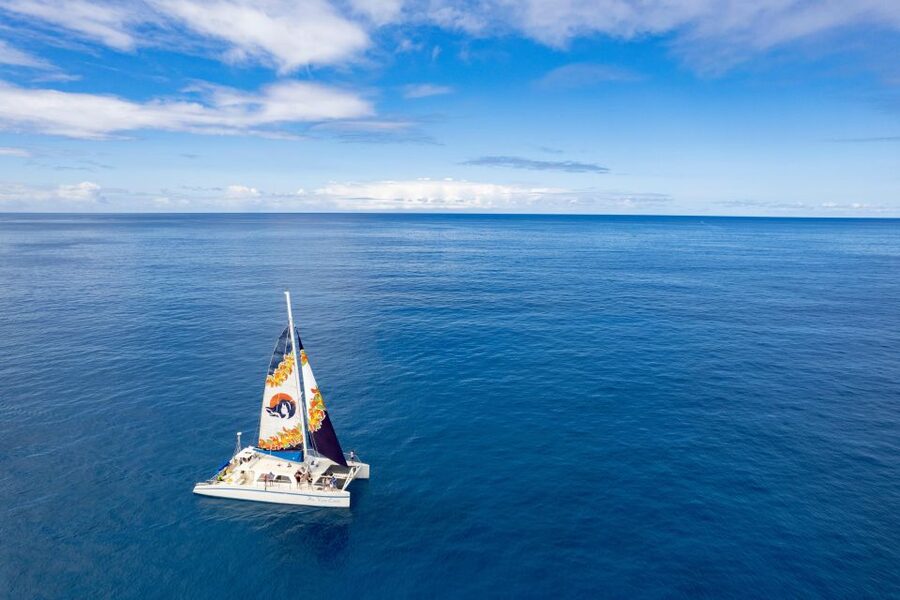 West Oahu: Turtles, Dolphins, and Snorkeling Tour with Lunch - How the $139 price works for you