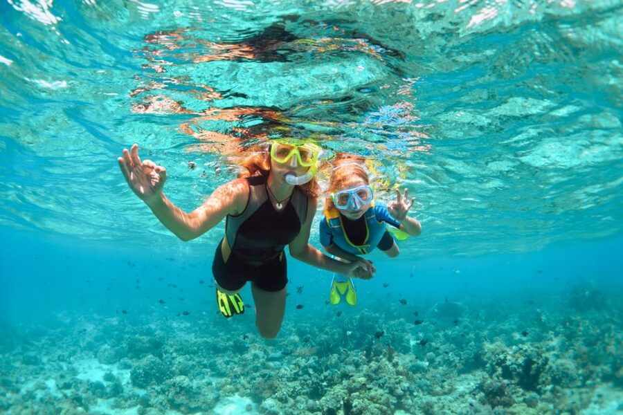 West Oahu: Turtles, Dolphins, and Snorkeling Tour with Lunch - Booking details worth knowing before you go