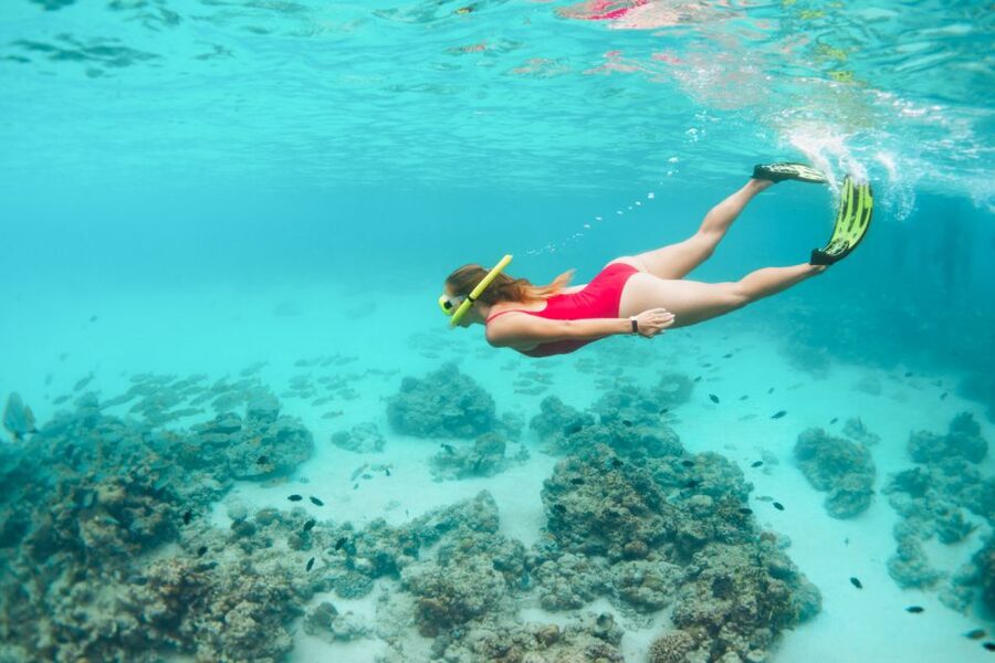 West Oahu: Turtles, Dolphins, and Snorkeling Tour with Lunch - Should you book the turtles, dolphins, and snorkeling tour?