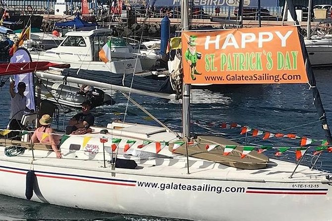 Whale and Dolphin Small Group Sailing from Tenerife South - Food, drinks, and the simple onboard break