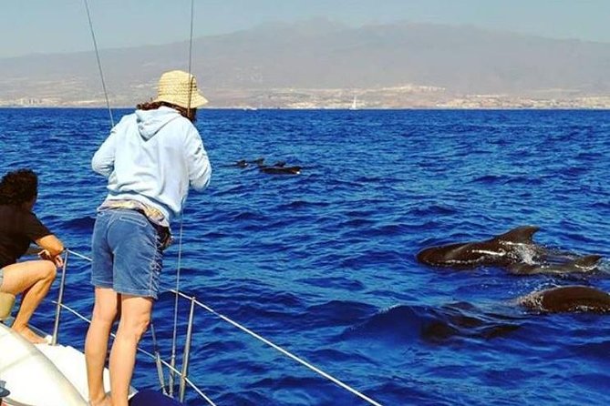 Whale and Dolphin Small Group Sailing from Tenerife South - What the small boat changes
