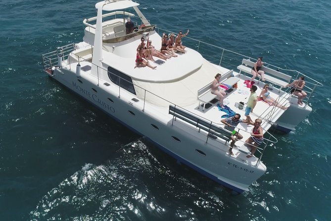 Whale and Dolphin Watching Catamaran with Transfer and Buffet - Key points before you book