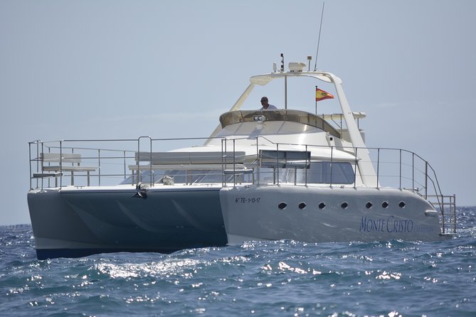 Whale and Dolphin Watching Catamaran with Transfer and Buffet - Why pilot whales make this three-hour trip worthwhile