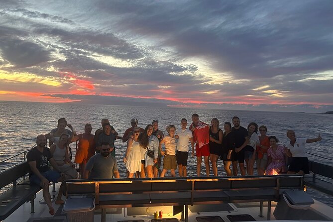 Whale and Dolphin Watching Catamaran with Transfer and Buffet - Comfort, motion, and practical limits