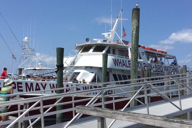 Whale and Dolphin Watching Cruise from Cape May - Whale Sightings Require Patience