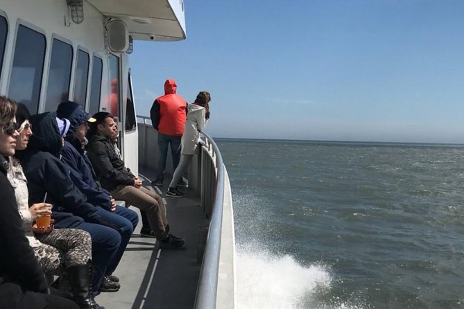 Whale and Dolphin Watching Cruise from Cape May - The Naturalist Commentary Gives the Ride Purpose