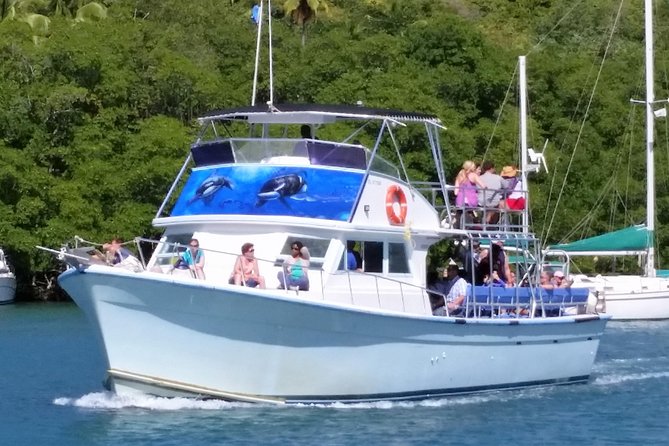 Whale and Dolphin Watching Cruise in St Lucia - Setting out from Vigie Marina at 8:00 a.m.