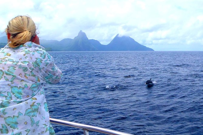 Whale and Dolphin Watching Cruise in St Lucia - Rum punch, shade, and the practical comforts