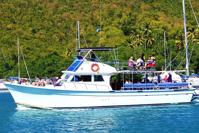 Whale and Dolphin Watching Cruise in St Lucia - Who should book this cruise?