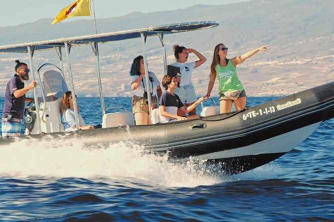 Whale and Dolphin Watching EcoAdventure in Tenerife - Who Will Enjoy This Trip Most