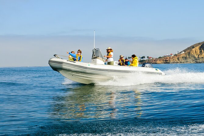Whale and Dolphin Watching in San Diego - Captain Ray and Captain Alyssa at the helm