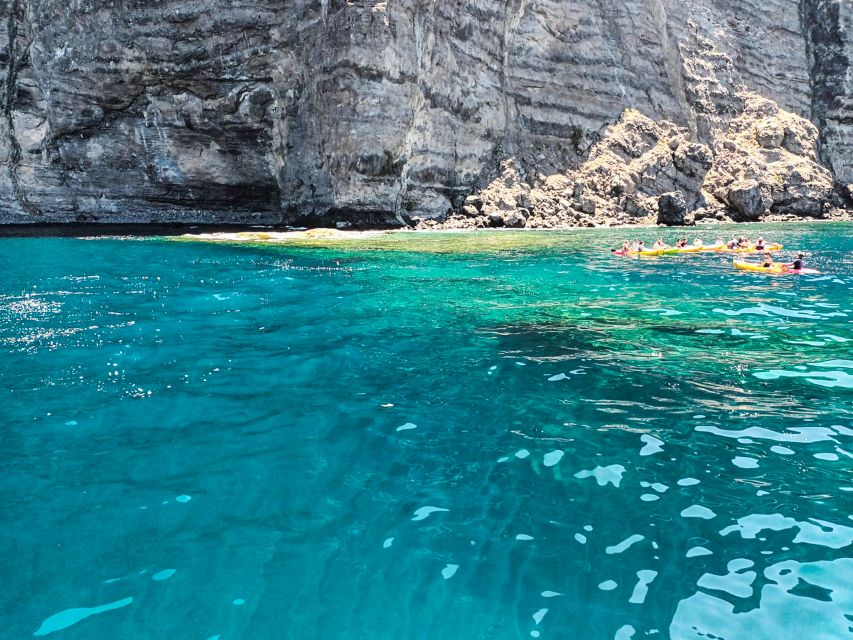 Whale and Dolphin Watching Sailing Tour – Los Gigantes (3H) - FAQ